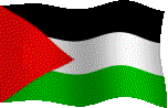flag of palestine